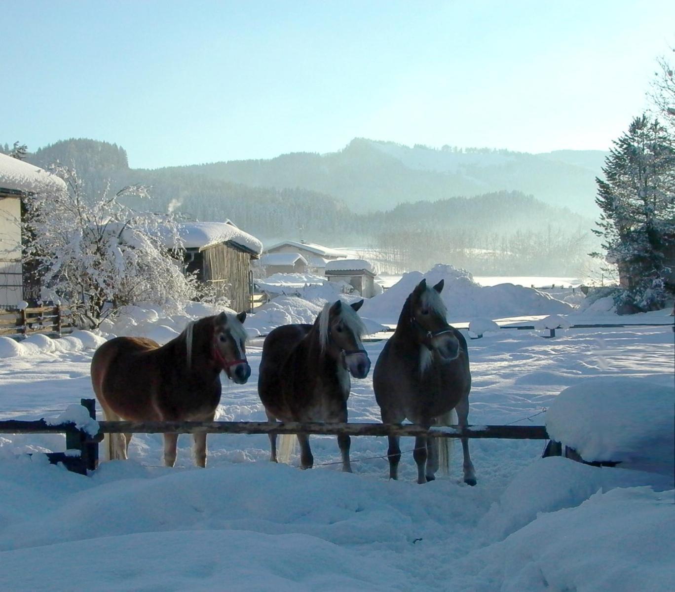 Ferienhaus Kramerl บาด ฮาริง ภายนอก รูปภาพ